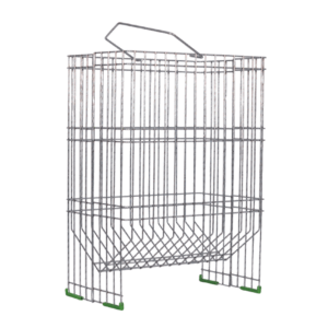 Forrajera rectangular