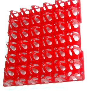 Bandejas de huevos 30 uds