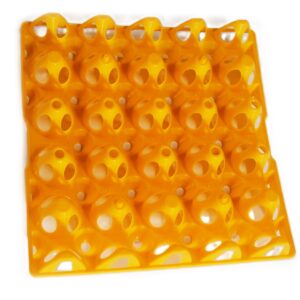 Bandeja de huevos 20 uds