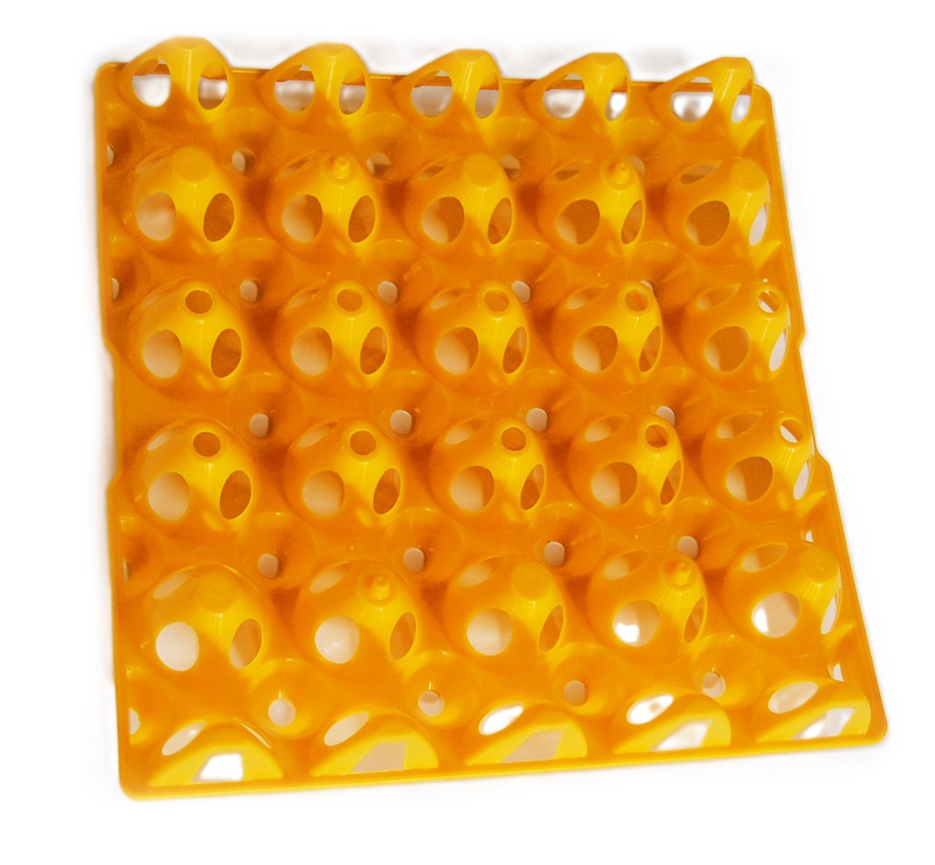 Bandeja de huevos 20 uds