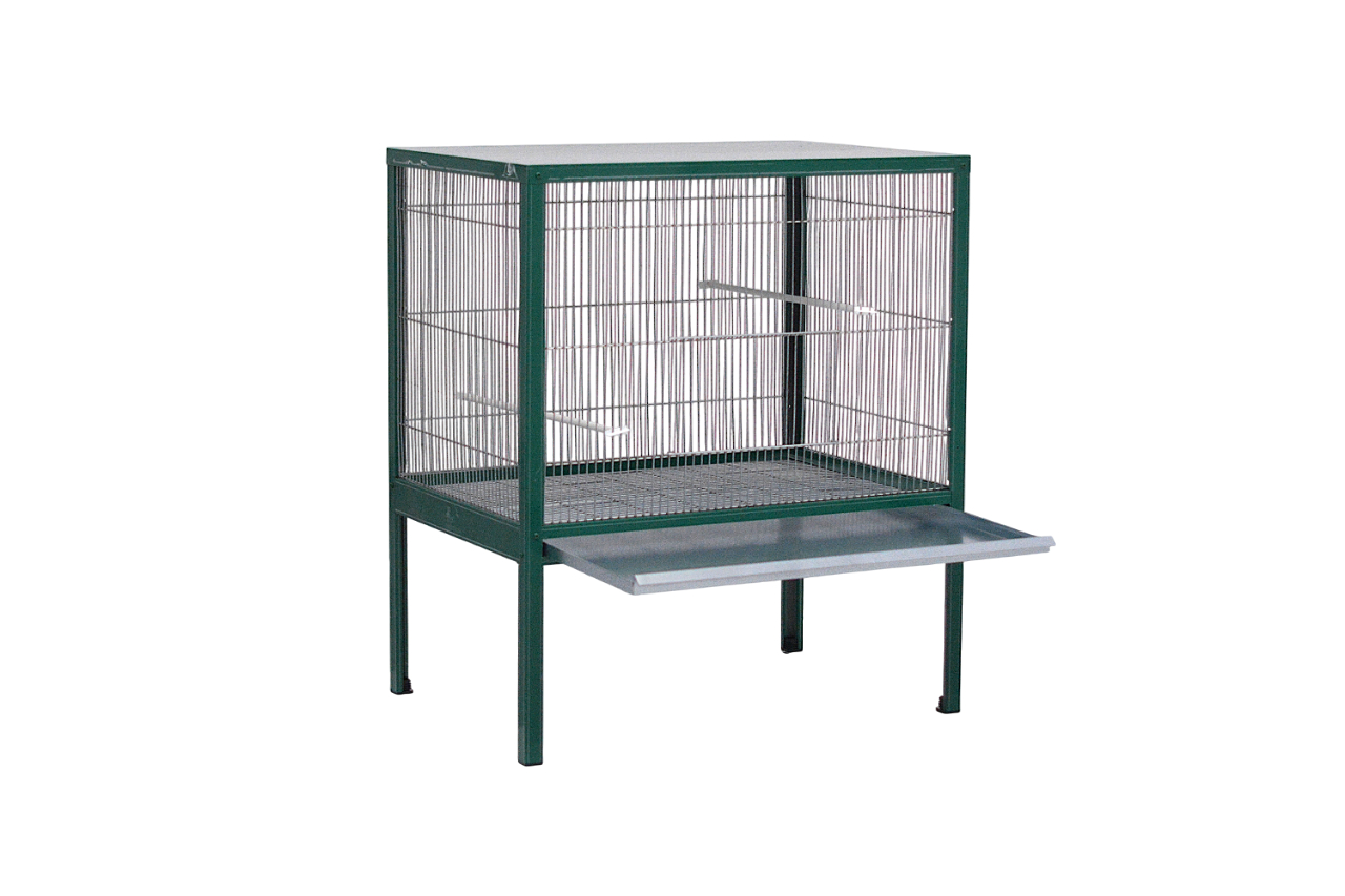 Voladero Boiro - Imagen 2