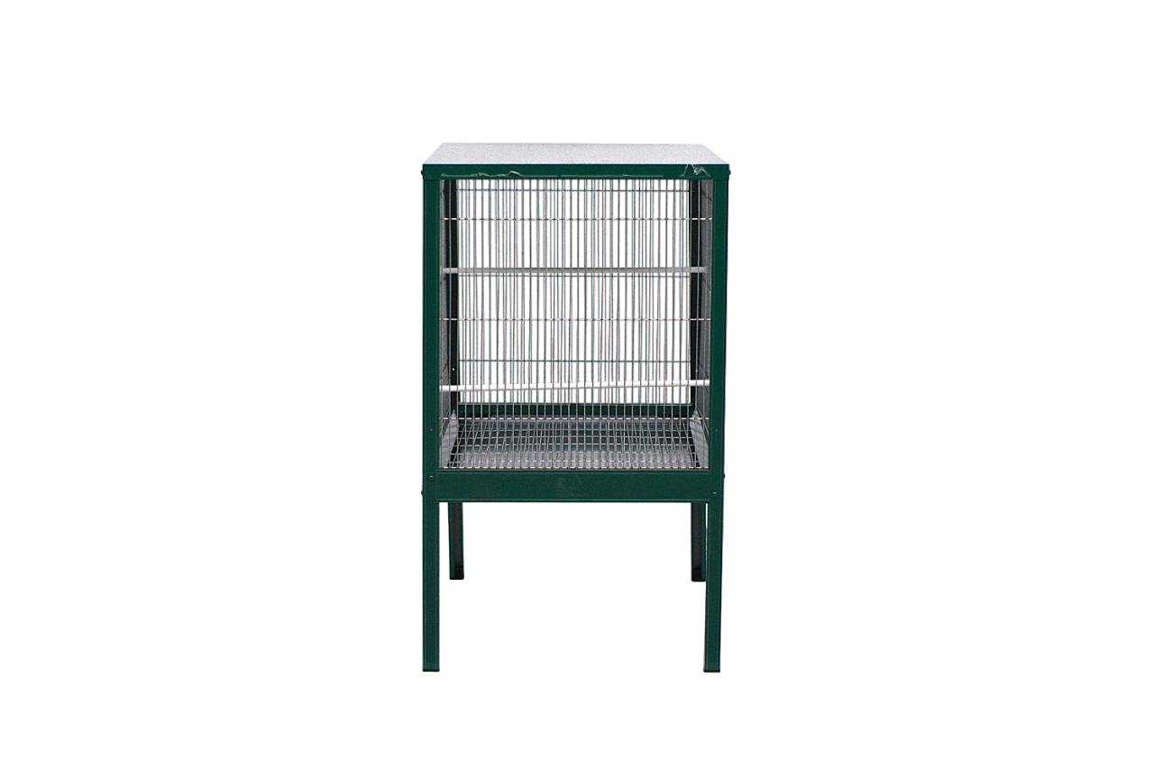 Voladero Boiro - Imagen 4