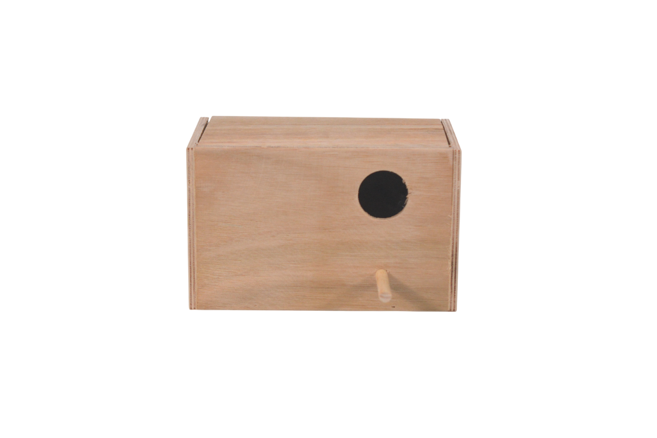 Nido de madera ninfas - Imagen 2