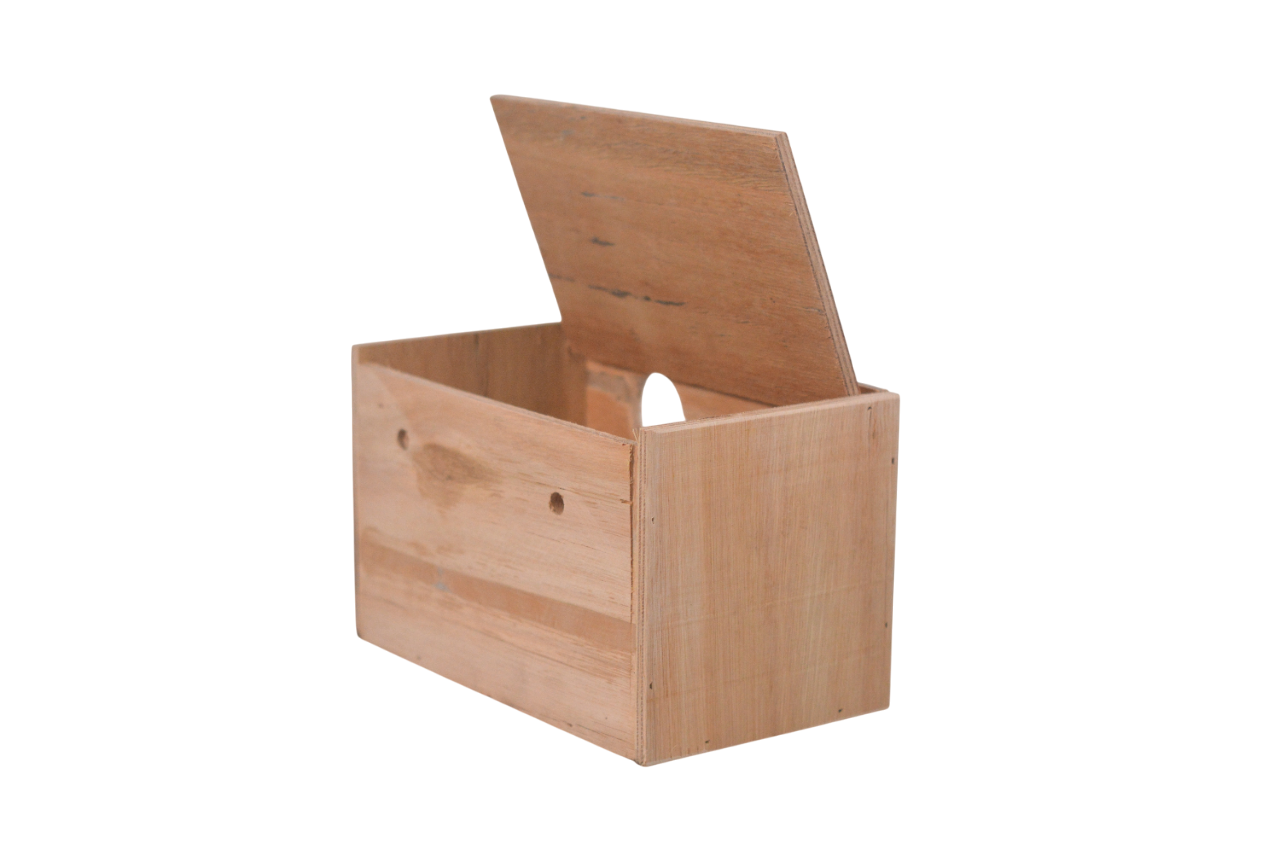 Nido de madera ninfas - Imagen 3