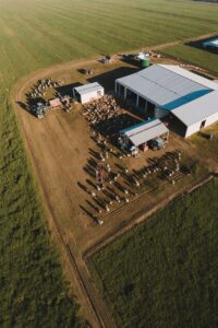 equipamiento ganadero eficiente