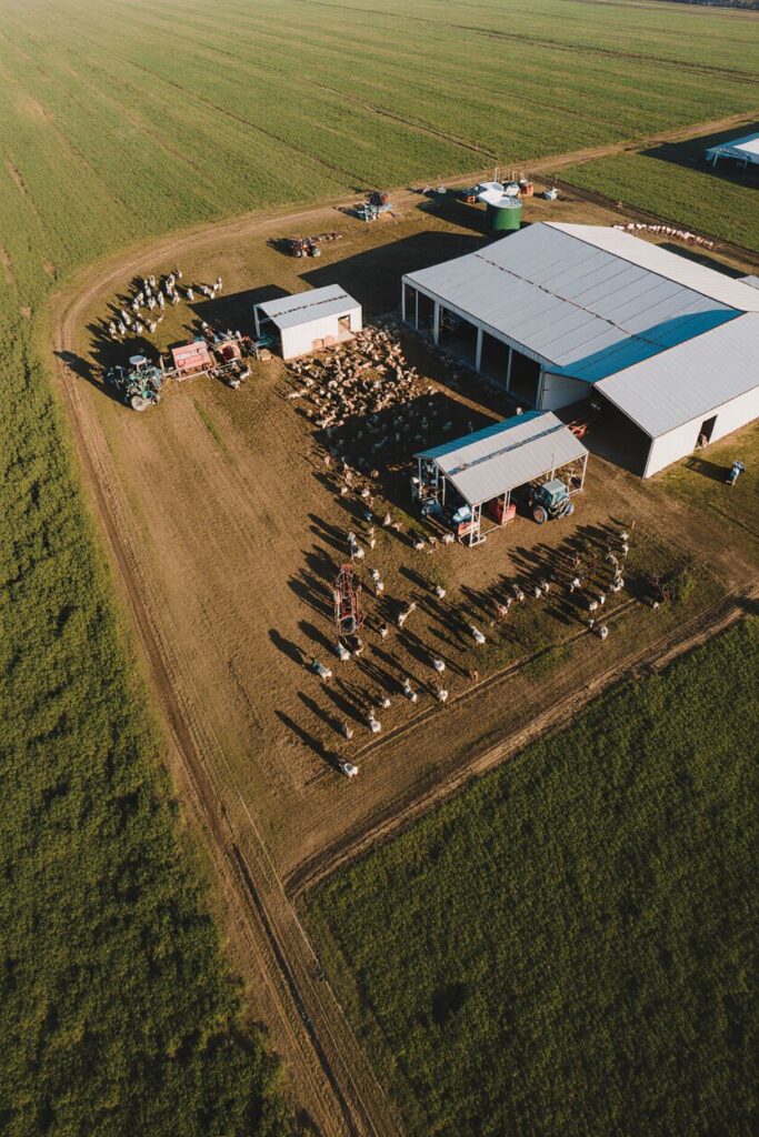 equipamiento ganadero eficiente