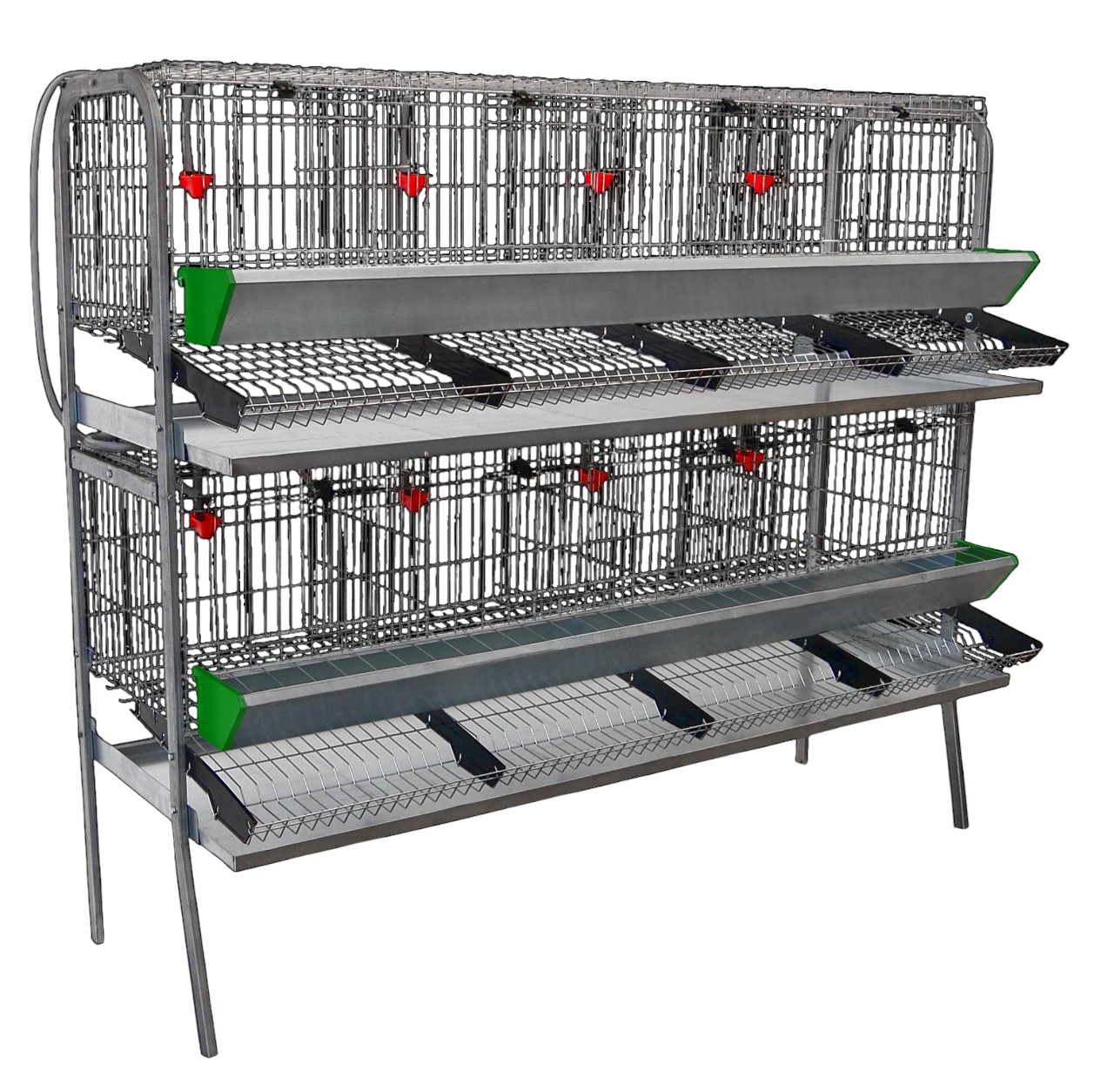 modulo exposición gallinas