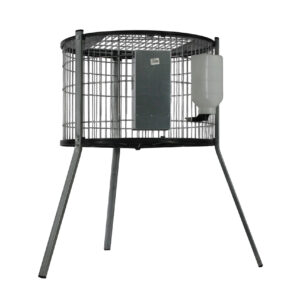 Modelo redondo para machos