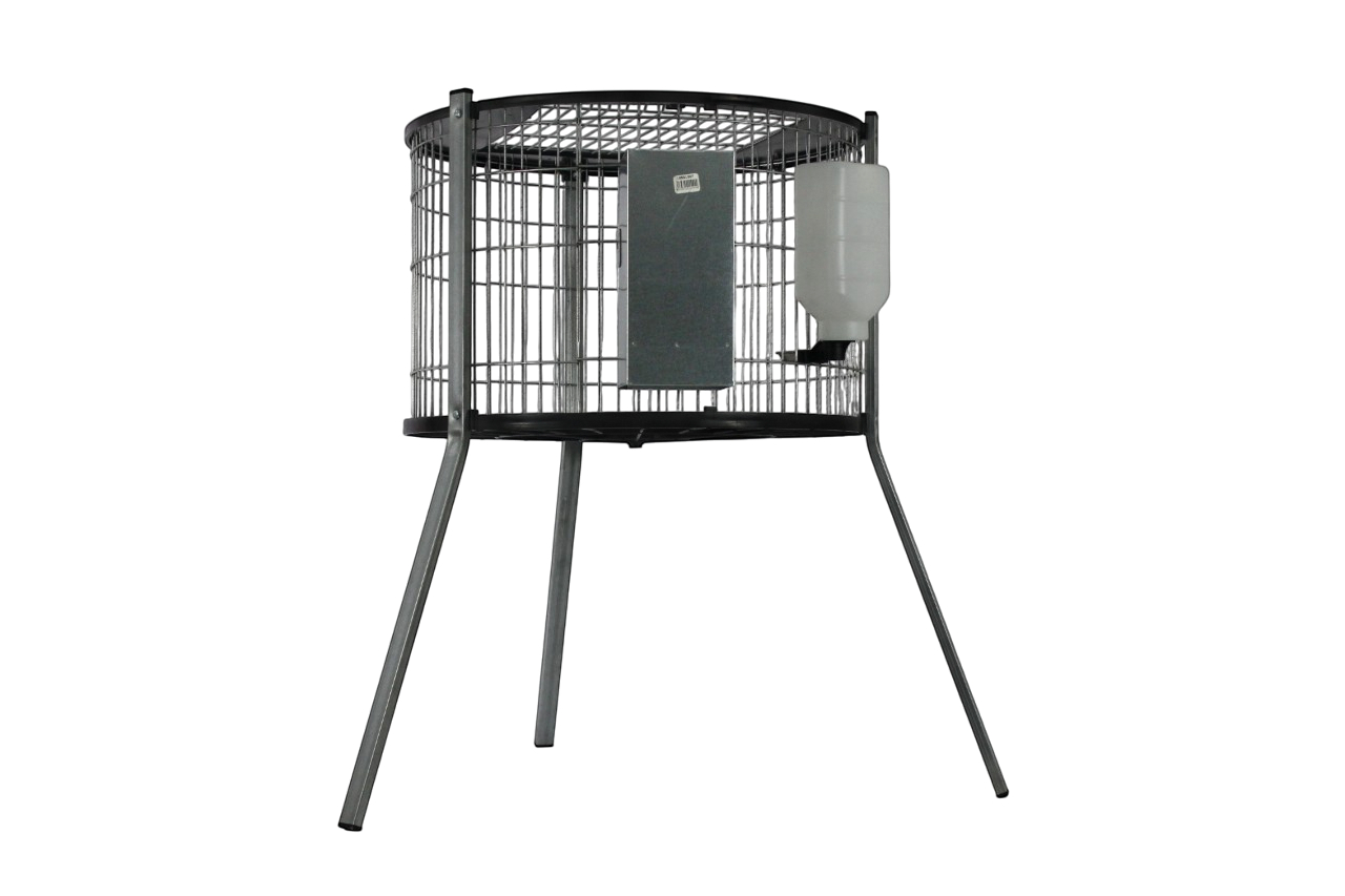 Modelo redondo para machos