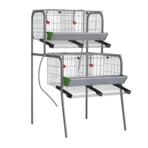 modelo A-2 2 pisos para gallinas