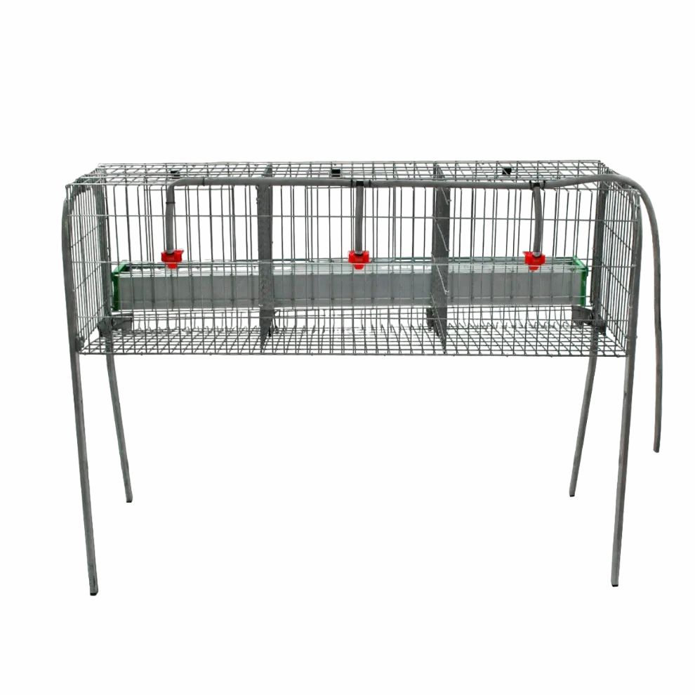 Modelo A-3 - Imagen 3