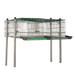 modelo codornices C-1