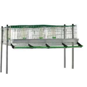 modelo codornices C-4