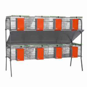 Modelo Económica-4 Comedero Mixto