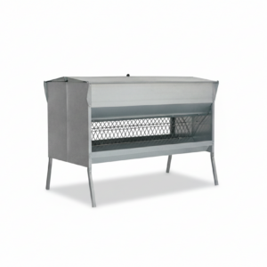 forrajera lanzarote ovino