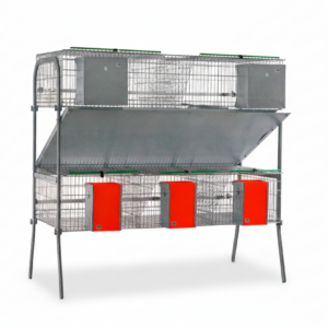 Modelo Económica-10 Comedero Mixto