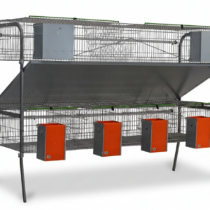 Modelo Económica-9 Comedero Mixto