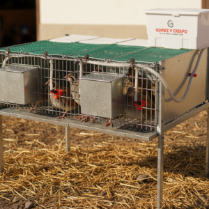 Alojamientos-Protección